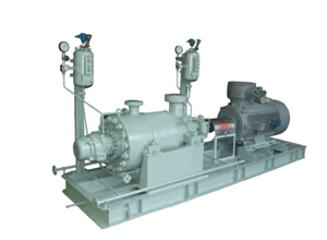 GSG系列泵(BB5)|GSG系列泵符合最新版本